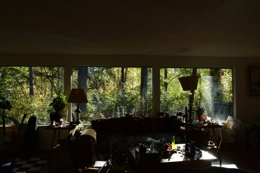 Sunlight streams into a room overlooking trees