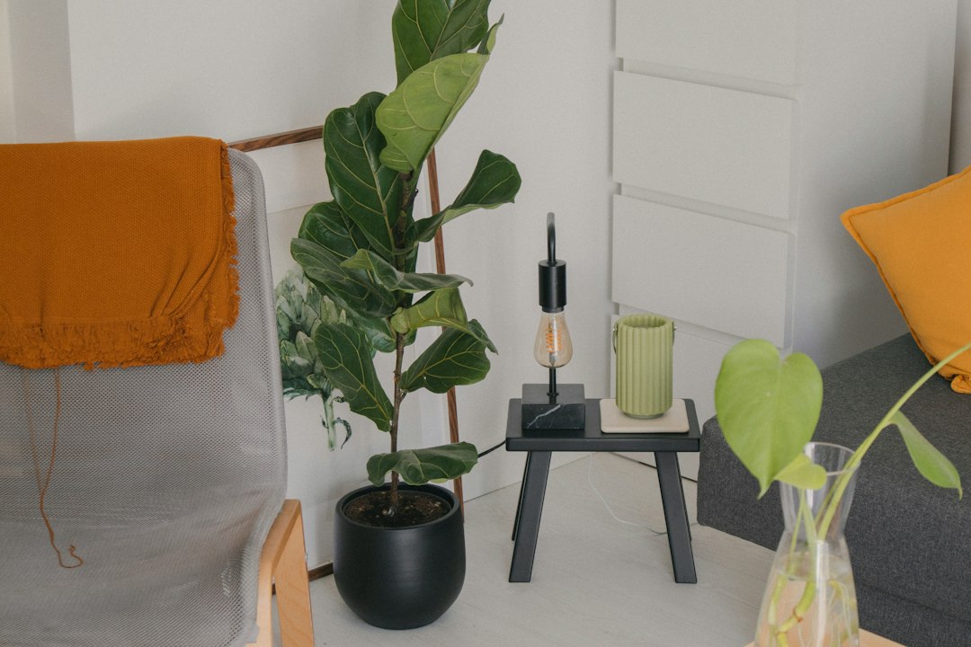 Prime Day Air Purifier Deals – Today’s Best Air Purifier Deals