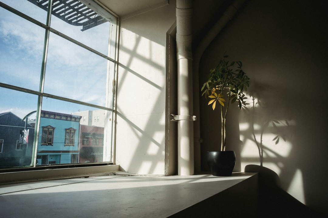 Should Windows Be Closed When Using an Air Purifier – Should Windows Be Closed When Using an Air Purifier?