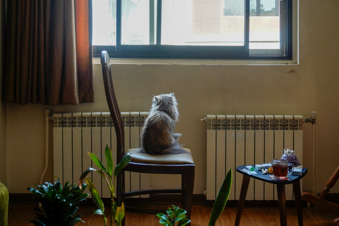 Best Air Purifier for Pets – Best Air Purifiers for Pet Hair & Dander (2026)